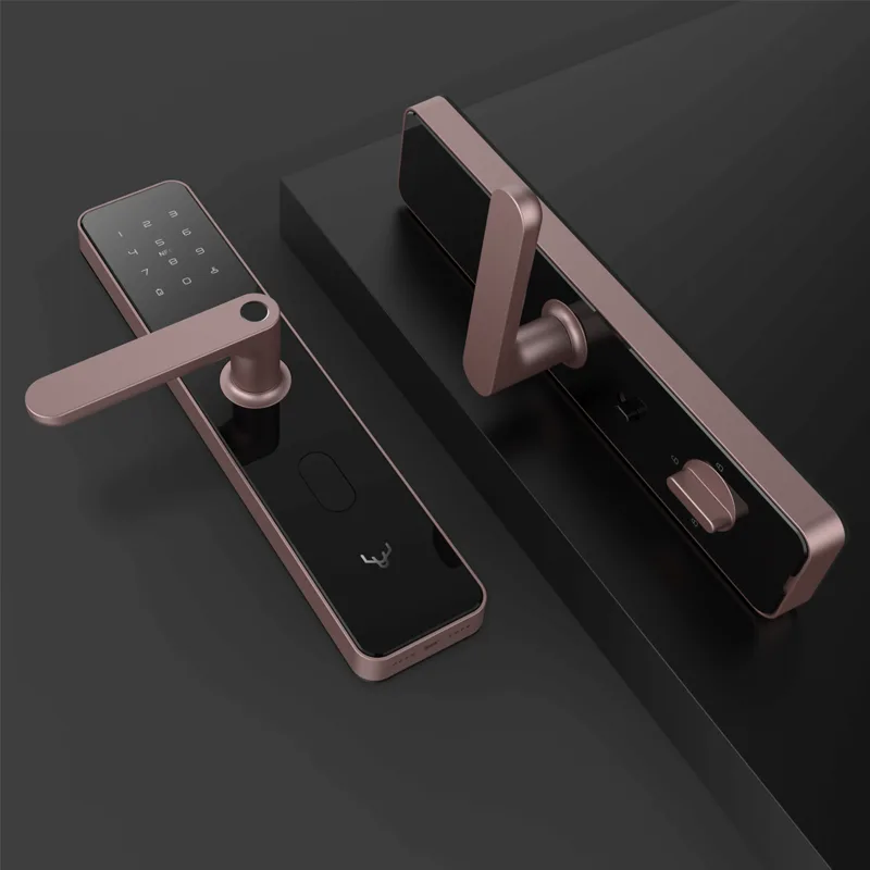 Khóa cửa thông minh Xiaomi Lockin X1 4