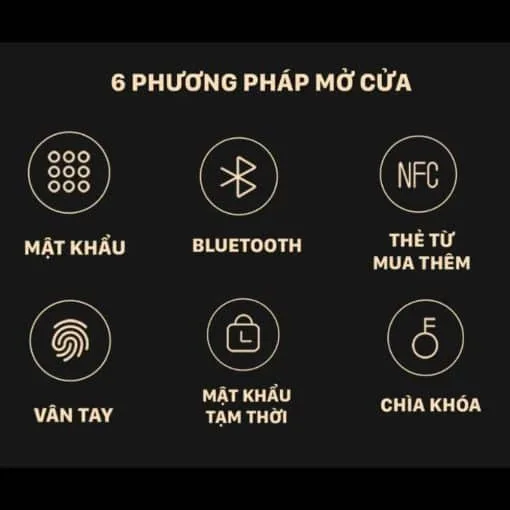 Khoá cửa vân tay thông minh Lockin X9 5