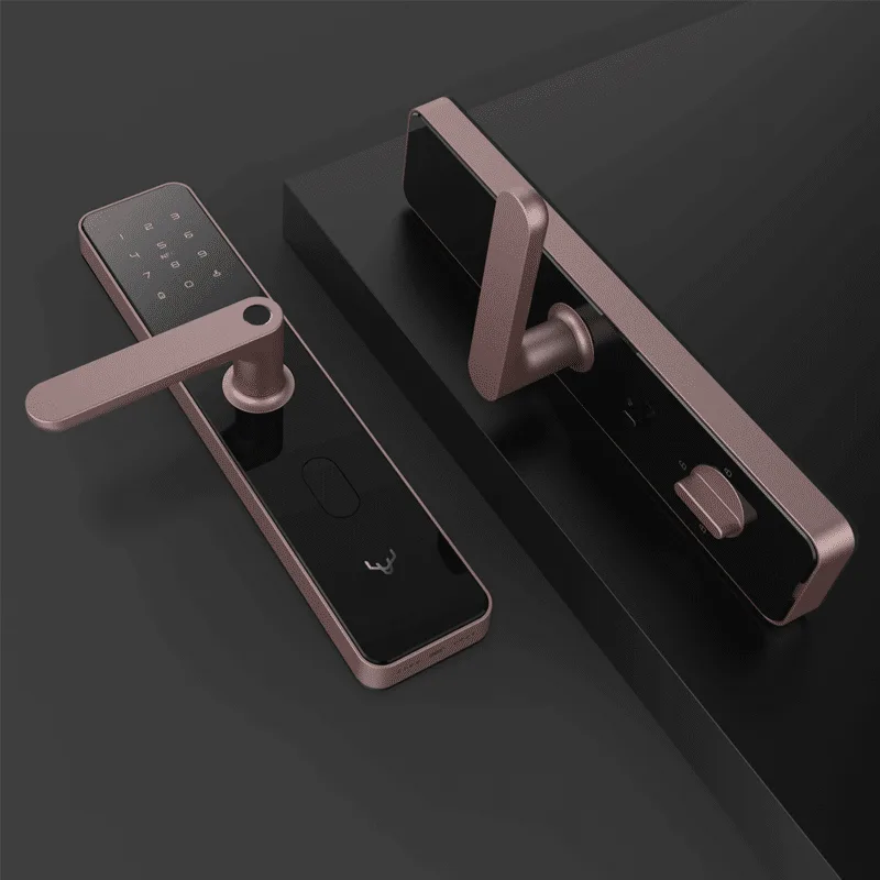 Khóa cửa thông minh Xiaomi Lockin X1, 6 cách mở khóa 3