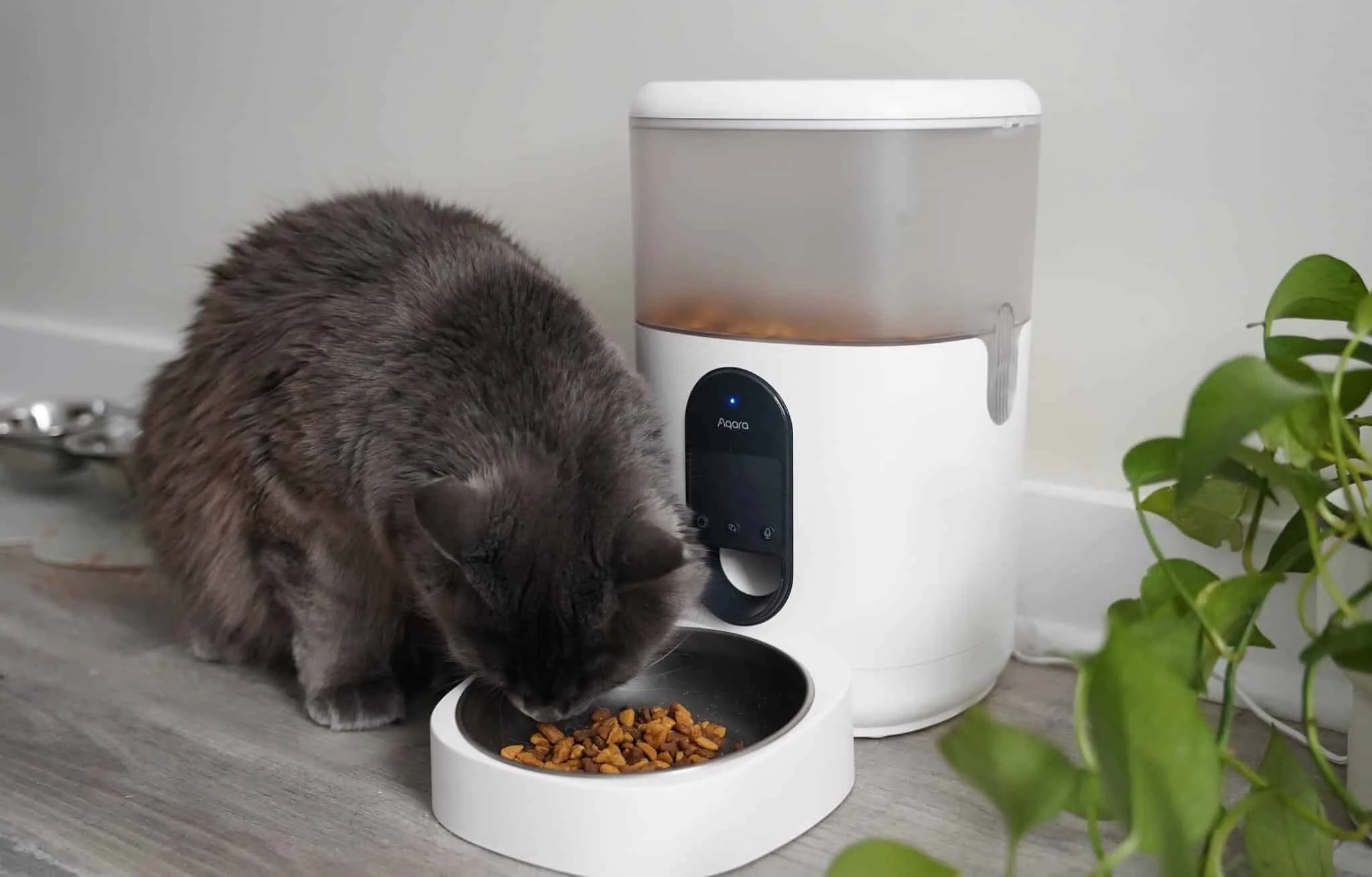 Máy cho thú cưng ăn tự động Aqara Pet Feeder C1 PETC1-M01 6