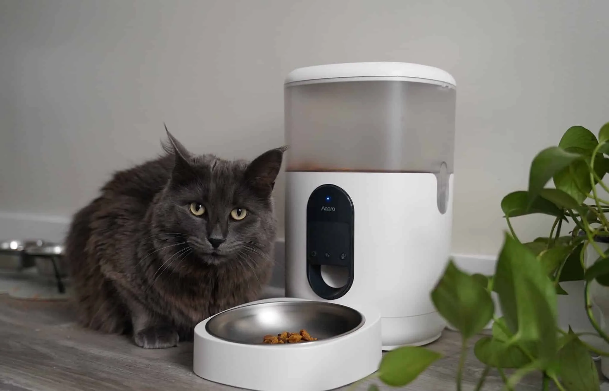 Máy cho thú cưng ăn tự động Aqara Pet Feeder C1 PETC1-M01 7